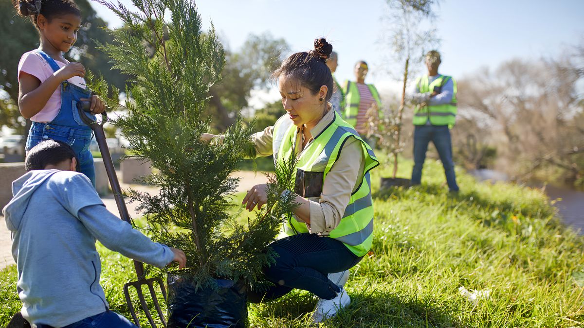Volunteers, including children and adults wearing high-vis vests, planting an evergreen tree outdoors.