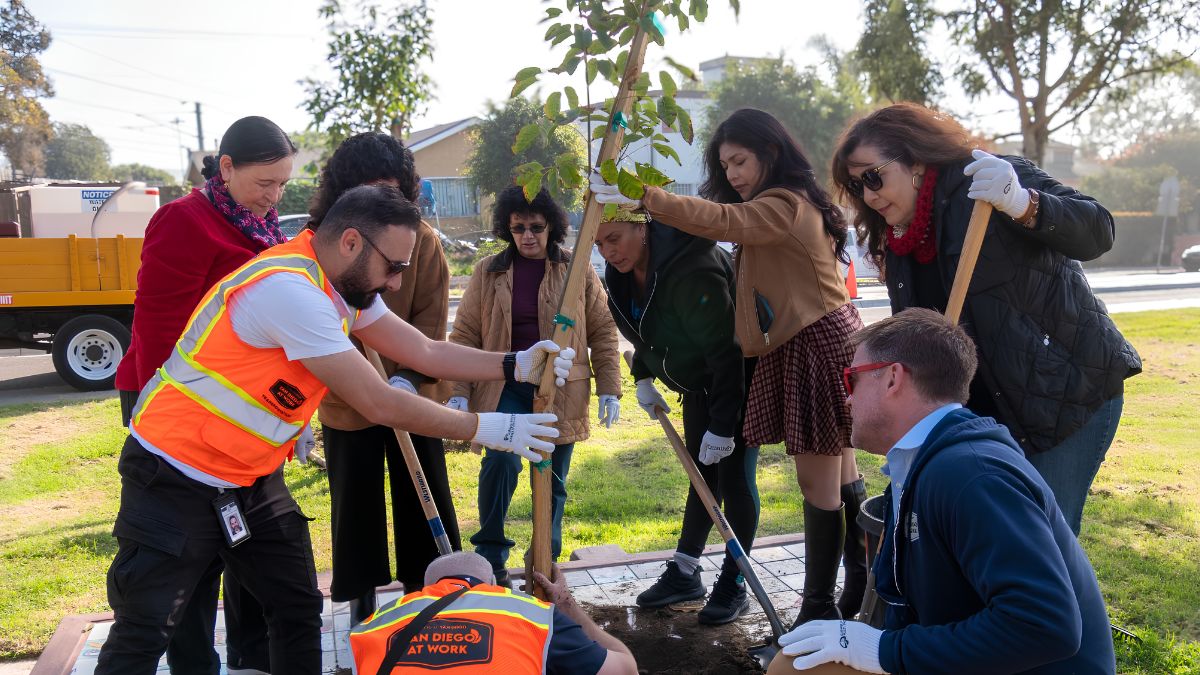 A diverse group of community volunteers and workers in safety vests planting a young tree together outdoors.
