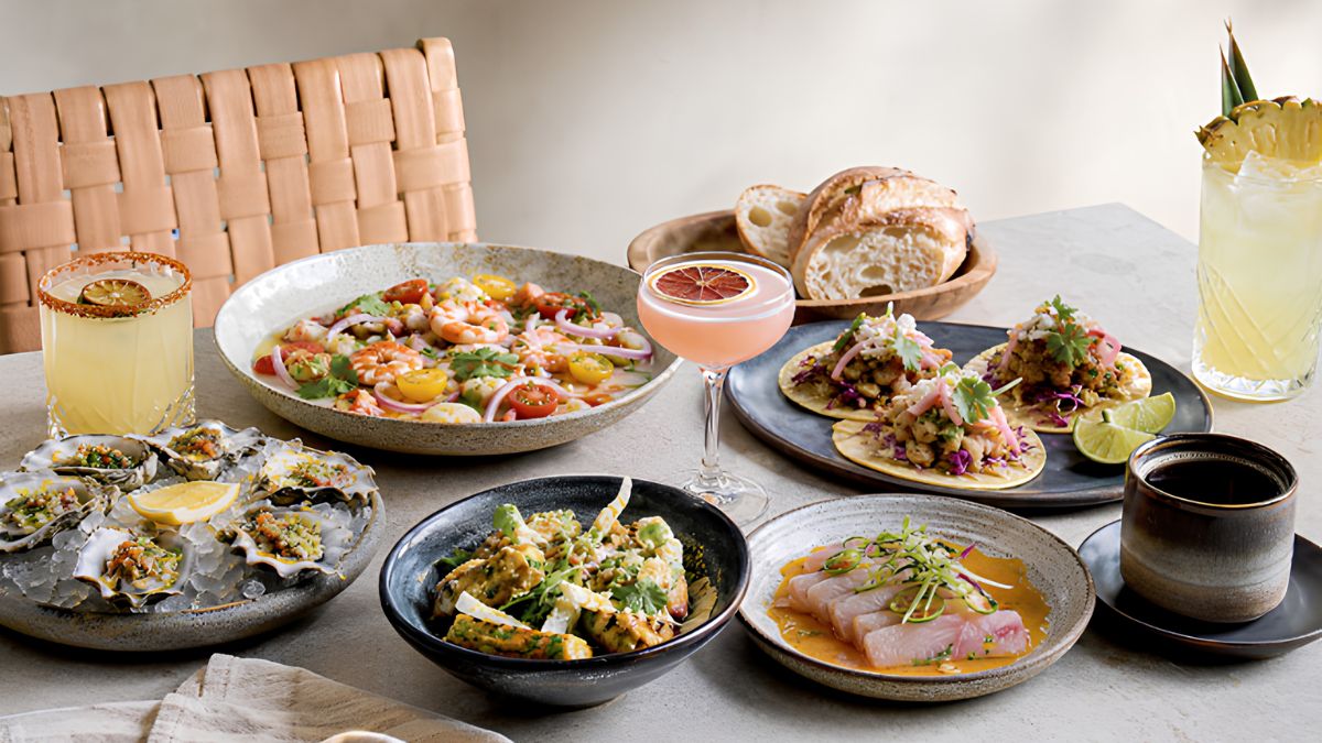 A table filled with a spread of local dishes, tacos, seafood, fresh bread, and drinks during a food crawl in San Ysidro.