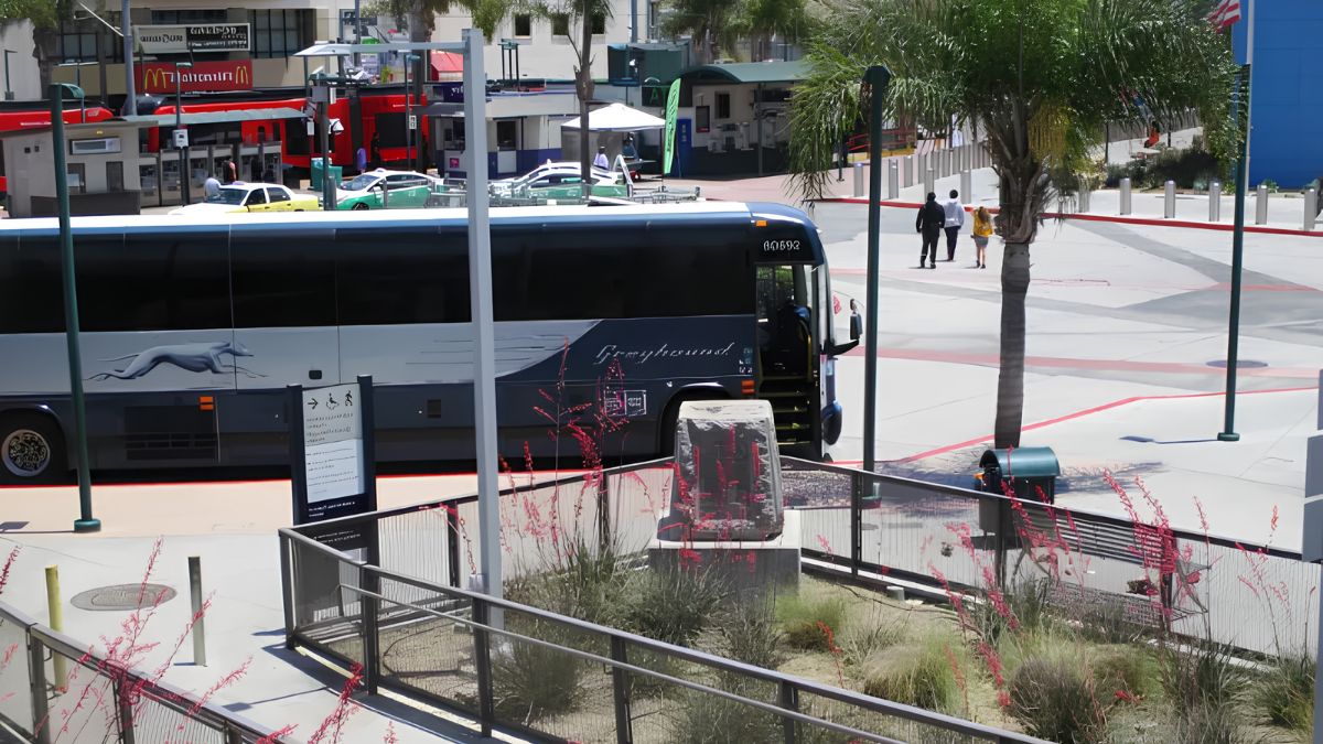 A Greyhound bus and pedestrians at a transit and street area in San Ysidro, representing local history and transportation development