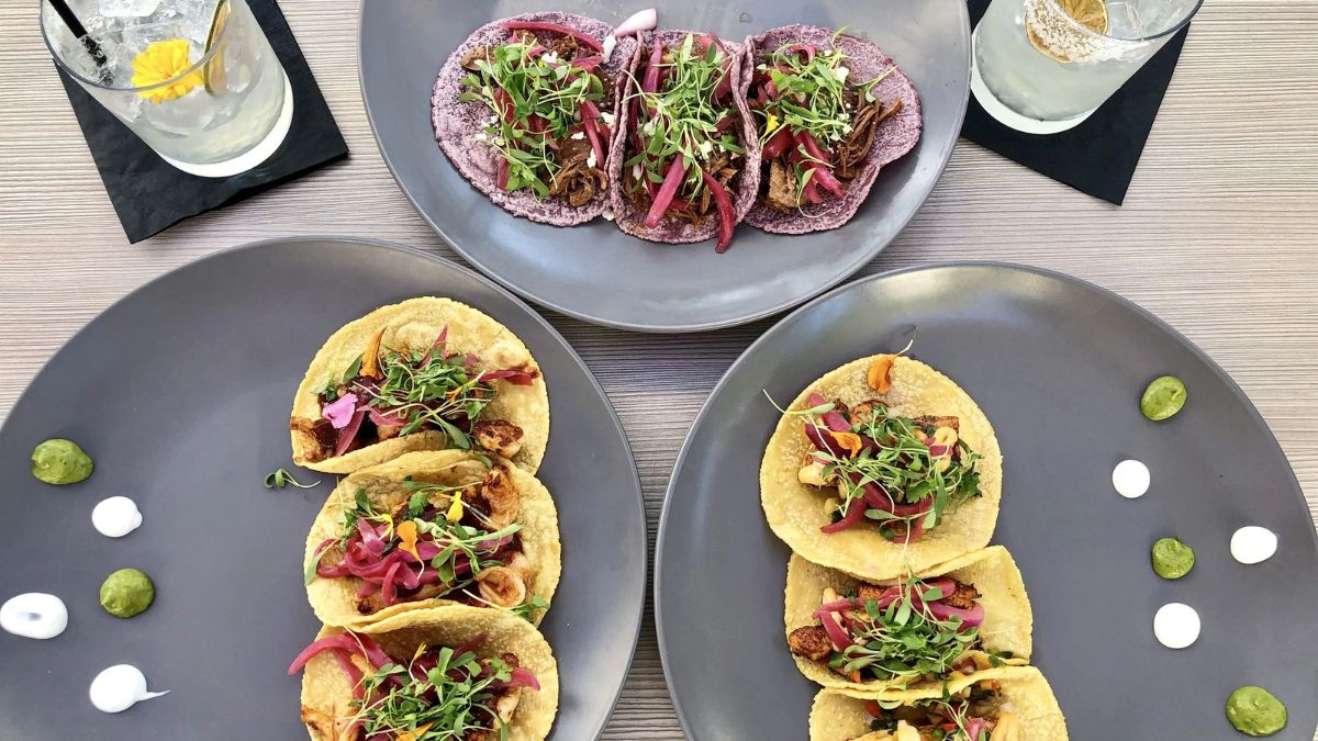 An overhead view of three gray plates filled with gourmet tacos garnished with fresh greens and pickled onions, accompanied by two cocktails on a wooden table.