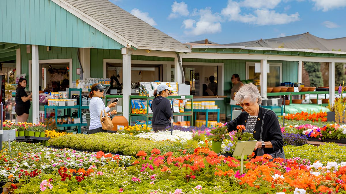 Several people shopping for vibrant potted flowers and plants outside a green wooden storefront at a local nursery or garden center.